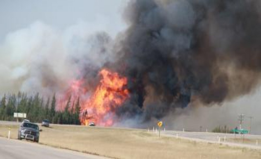कनाडा में जंगलों में 100 जगहों पर लगी आग